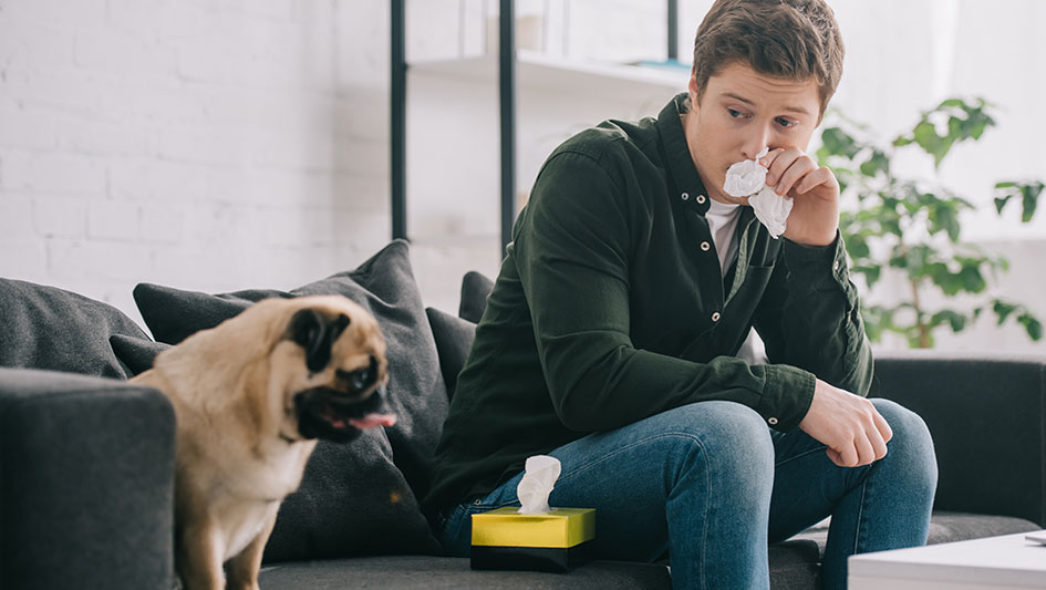 Getting an air purifier is one of the best methods to enhance your house’s indoor air quality. Discover more about the three best products. 